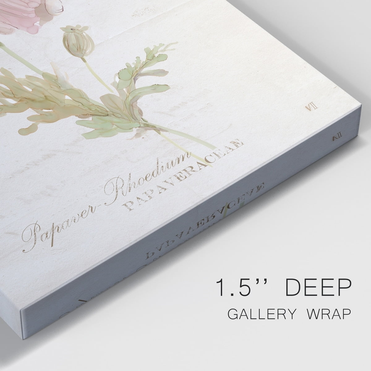 Soft Poppy Premium Gallery Wrapped Canvas - Ready to Hang - 40 x 60