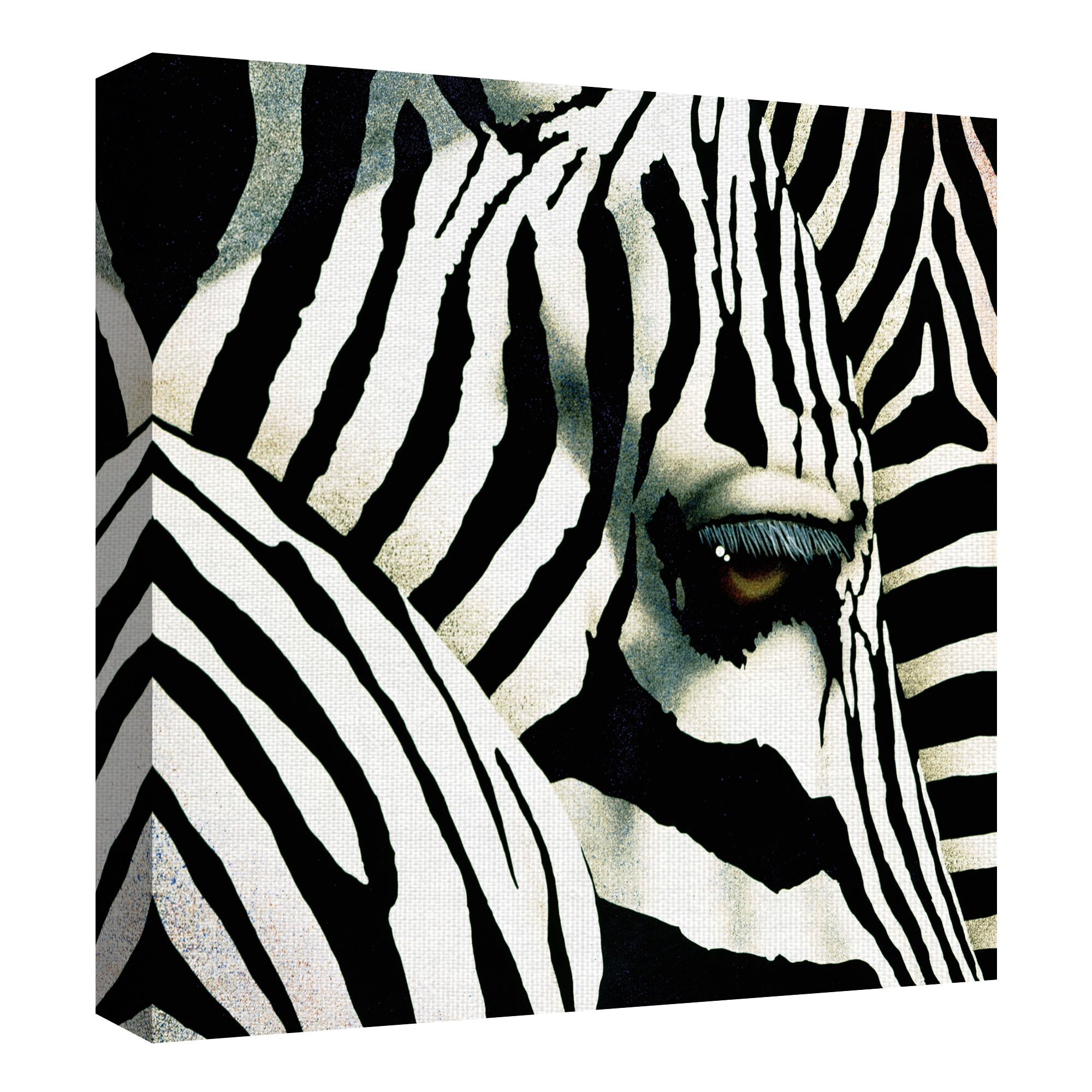 Masterpiece Art Gallery Do Zebras Dream in Color by Will Bullas Canvas Art Print 24" x 24"