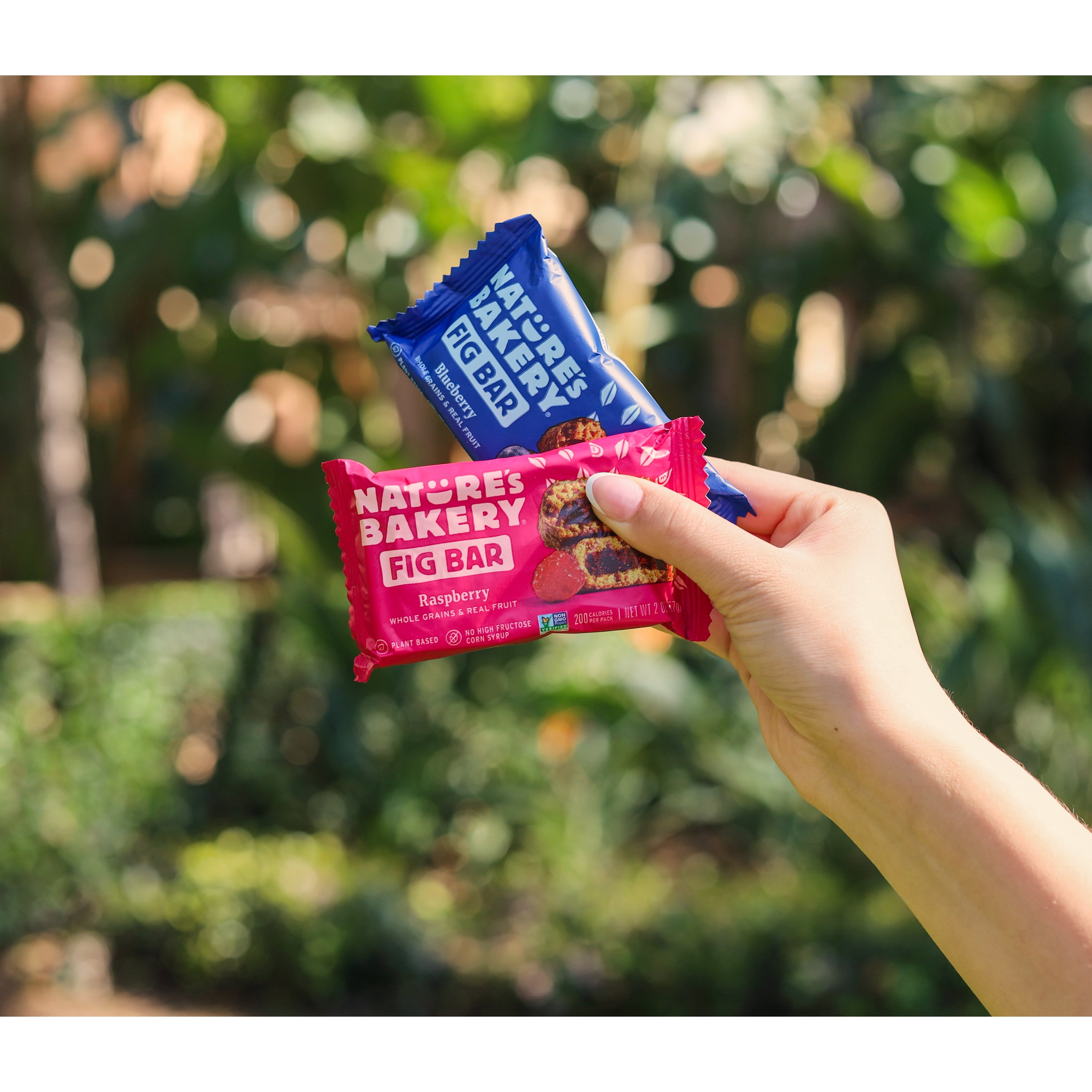 Nature's Bakery All Day Variety Pack, (35 Bars), Vegan, Non-GMO, Plant-Based