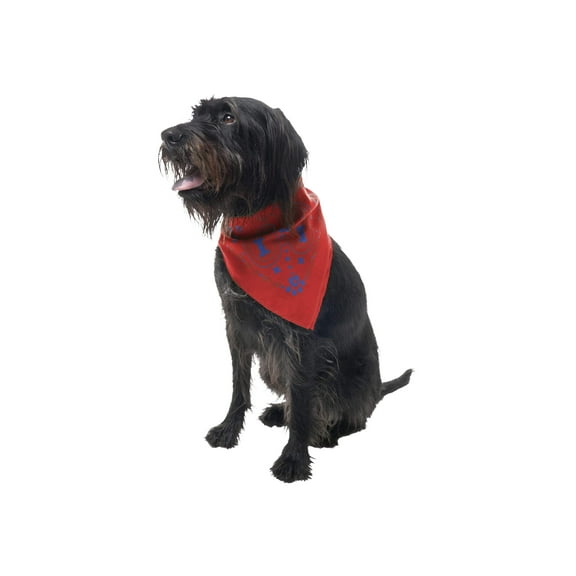 Insect Shield for Pets Paisley Bandana, Poppy, One Size