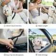 thumbnail image 4 of Dog Seat Belt BungeTECH Pet Car Safety Belt For All Dog Ages Sizes Durable Nylon Comfortable Shock Attenuation Dog Restraint, 4 of 7