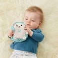 thumbnail image 3 of Calming Vibes Hedgehog Soother-Music, Multiple Activities, 3 of 6