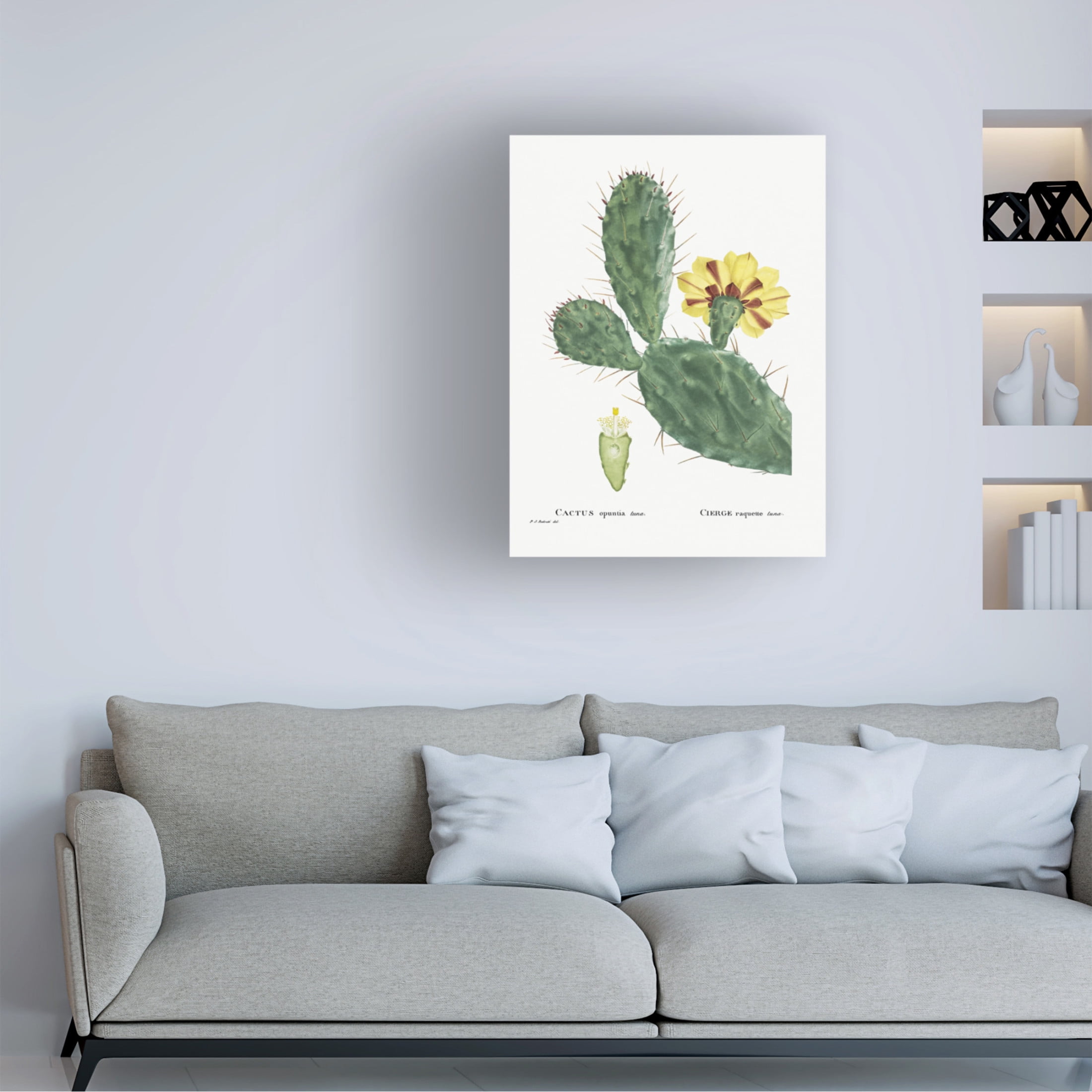 Trademark Fine Art Pierre Redoute  Redoute Cactus IV Canvas Wall Art