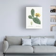 thumbnail image 2 of Trademark Fine Art Pierre Redoute  Redoute Cactus IV Canvas Wall Art, 2 of 4