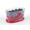 thumbnail image 3 of prepworks par progressive berry keeper, 3 of 3