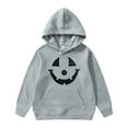 thumbnail image 1 of Wdgfv Chandail à Capuche Imprimé Graphique Halloween pour Garçons Veste Douce Confortable Tenue Décontractée pour Enfants Gris 2-3 Ans, 1 of 4