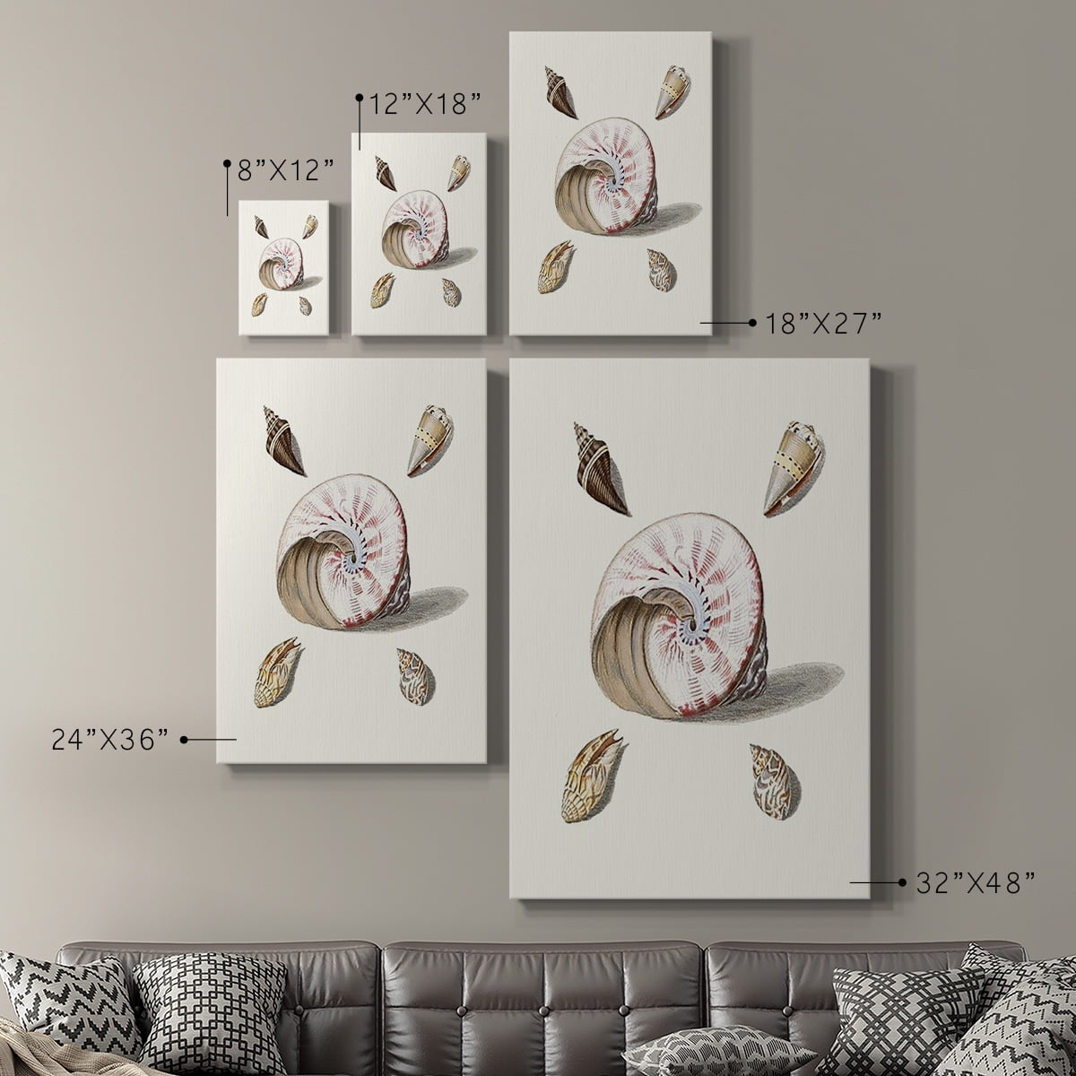 Pastel Knorr Shells II Premium Gallery Wrapped Canvas - Ready to Hang