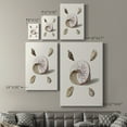 thumbnail image 4 of Pastel Knorr Shells II Premium Gallery Wrapped Canvas - Ready to Hang, 4 of 9