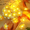 thumbnail image 1 of luces del paisaje LED Faux Plumeria String Light - Hawaiian Foam Plumeria Light, USB Powered, Fairy String Lights para dormitorio, cumpleaños, boda, fiesta en la playa Zhivalor WMZY-1071-2, 1 of 4