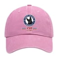thumbnail image 2 of Unisex 250th Anniversary USA Hat 1776-2026 Adjustable Patriotic Baseball Cap Trucker Hat Veterans Independence Day Caps Washed Cotton Hats with Vintage Flag Design Pink, 2 of 7