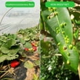 thumbnail image 4 of Garden Net Plant Lid Anti-UV Insect Protection Netting for Garden Yard Farm Bird Prevent, 4 of 9