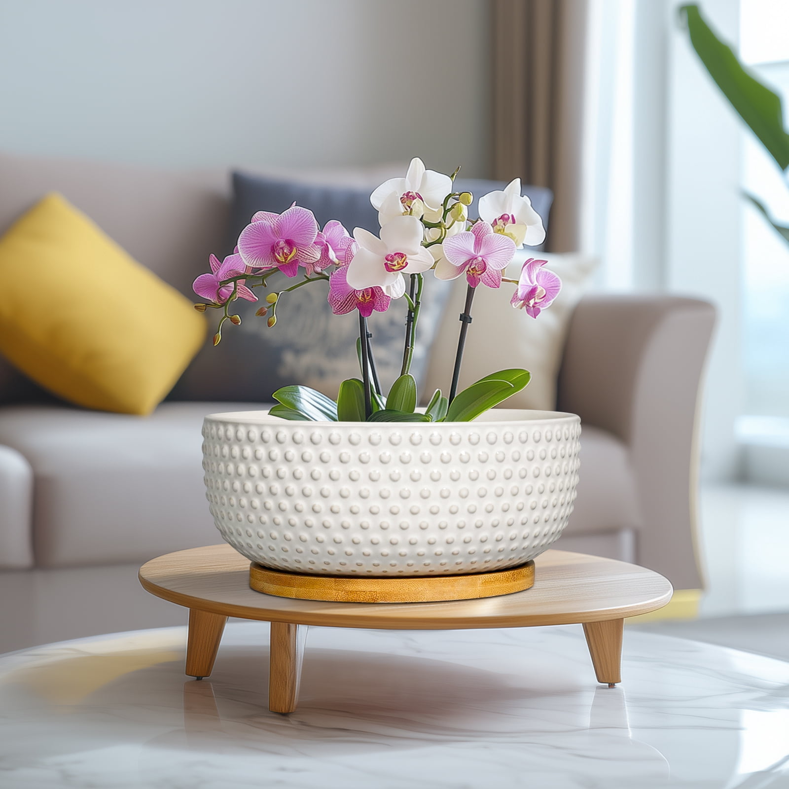 Ordivic 8 inch Round Off-White Ceramic Bonsai Pot with Drainage Hole & Saucer, Shallow Planter Bowl for Home Decor & Indoor Succulents