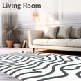 thumbnail image 2 of ODIKA 2'x3' Machine Washable Non-Slip Area Rug, Funky Ripple Wave Featuring Abstract Cat Motifs High Traffic Rug, Gray, 719554, 2 of 7