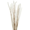 thumbnail image 2 of Vickerman 36-40" Ivory Caba Spine Bundle, 3 pack, Dried, 2 of 5