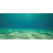 Aquatic Creations Static Cling Aquarium Background, 36 by 18-Inch, Ocean Floor