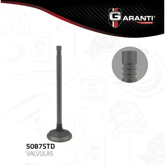 Valvula Escape Garanti Para Chevrolet Trailblazer 2002 - 2005 (Garanti)