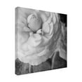 thumbnail image 2 of Judy Stalus 'Dark Ranunculus II' Canvas Art, 2 of 3