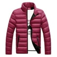 thumbnail image 3 of WTOBBY Men's Short Padded Jacket, Stand Collar Casual Quilted Coat with Solid Color Design, Lightweight Warmth for Fall Winter Urban Style,Wine 5XL, 3 of 5