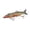 C, variant on Suitable For Both Freshwater And Saltwater ; Equipped With Treble Hooks And Ideal For Targeting Trout And . Gear Boys Ice Weights Hook for Line Rattles Stuff for Boys Bow Setup Whole Catfish Gear for