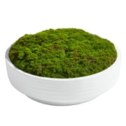 Better Homes & Gardens 8 Faux Moss in Ceramic Bowl