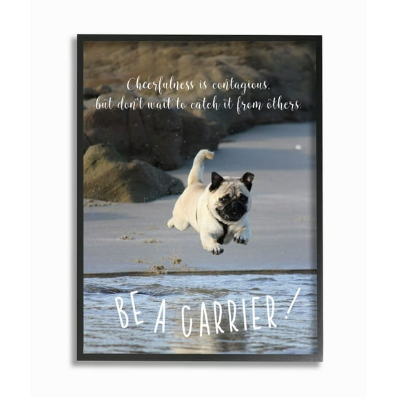 Stupell Industries Be a Cheerfulness Carrier Phrase Pet Dog at Beach Framed Wall Art Design by Ziwei Li, 16" x 20", Black Framed