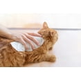 thumbnail image 2 of Petkin Pet Wipes Mega Value Pack 125ct - Vanilla Coconut, 2 of 4