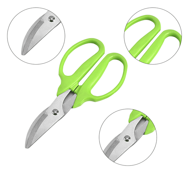 Succulent scissors online