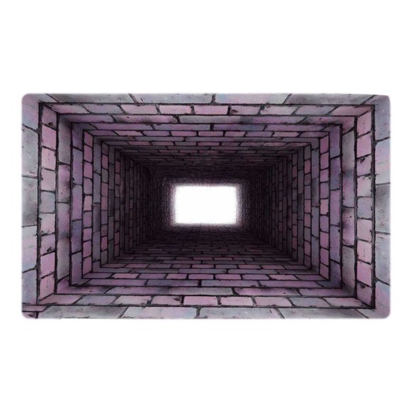 Hearth & Gear 3D Visual Optical All Weather Doormat Diatomite Bath Mat Super Absorbent Non Floor Rug 3D Rug,Easy Clean Living Room Kitchen Entrance Insulating Rug Knitted Blanket Warm Throw Blanket