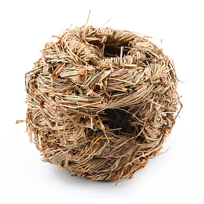 guinea pig nesting material