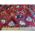 thumbnail image 2 of Literary Kittens Framed Kitties Brick Red by Quilting Treasures, 2 of 2