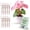 Begonia Red, variant on Twigs Ga Stackable Plant Support Monstera Green 5 Pack 17"