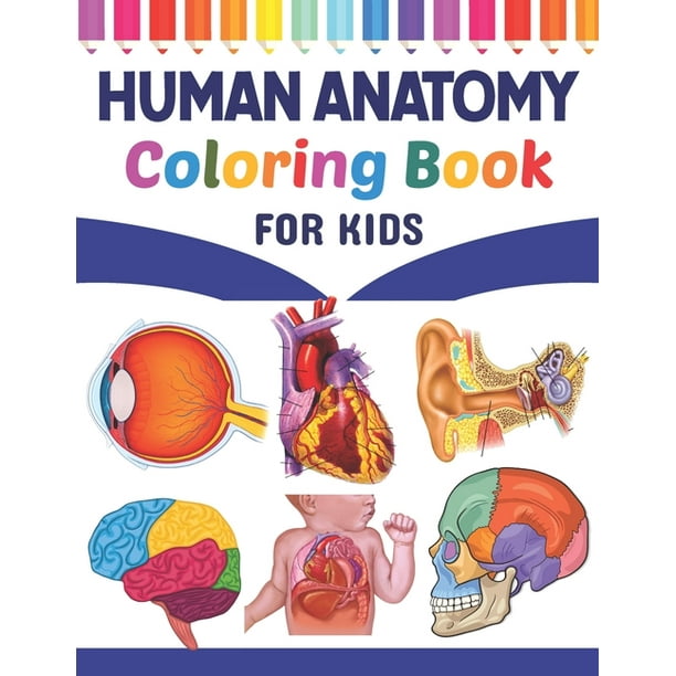 Human Anatomy Coloring Book For Kids Learn The Human Anatomy With Fun Easy Simple Human