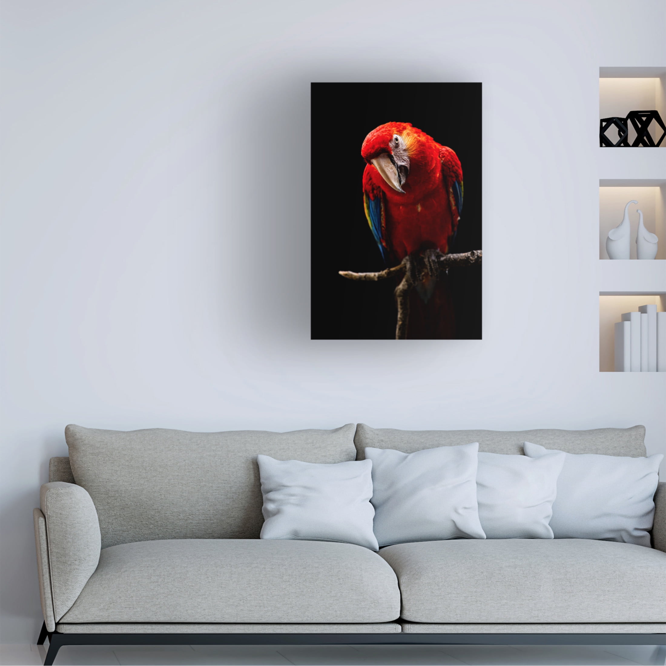 Trademark Fine Art Andi Halil Portrait Of Scarlet Macaw Canvas Wall Art