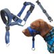 thumbnail image 1 of Dog Head Halter With Safety Strap, Dog Head Collar With Reflective Strap, No-pull Dog Collar Adjustable Dog Harness Training_c*, 1 of 5
