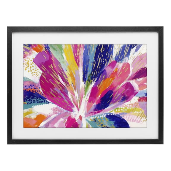 Stupell Industries Modern Flower Burst in Vibrant Tones Black Framed Print Under Glass, 20 x 14, by Chromatic Storm Studio