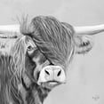 thumbnail image 2 of Fifer, Diane 26x26 White Modern Wood Framed Museum Art Print Titled - Shaggy Highland, 2 of 4