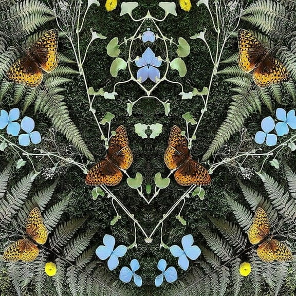 Jean-Michel Blais - Aubades - Music & Performance - CD