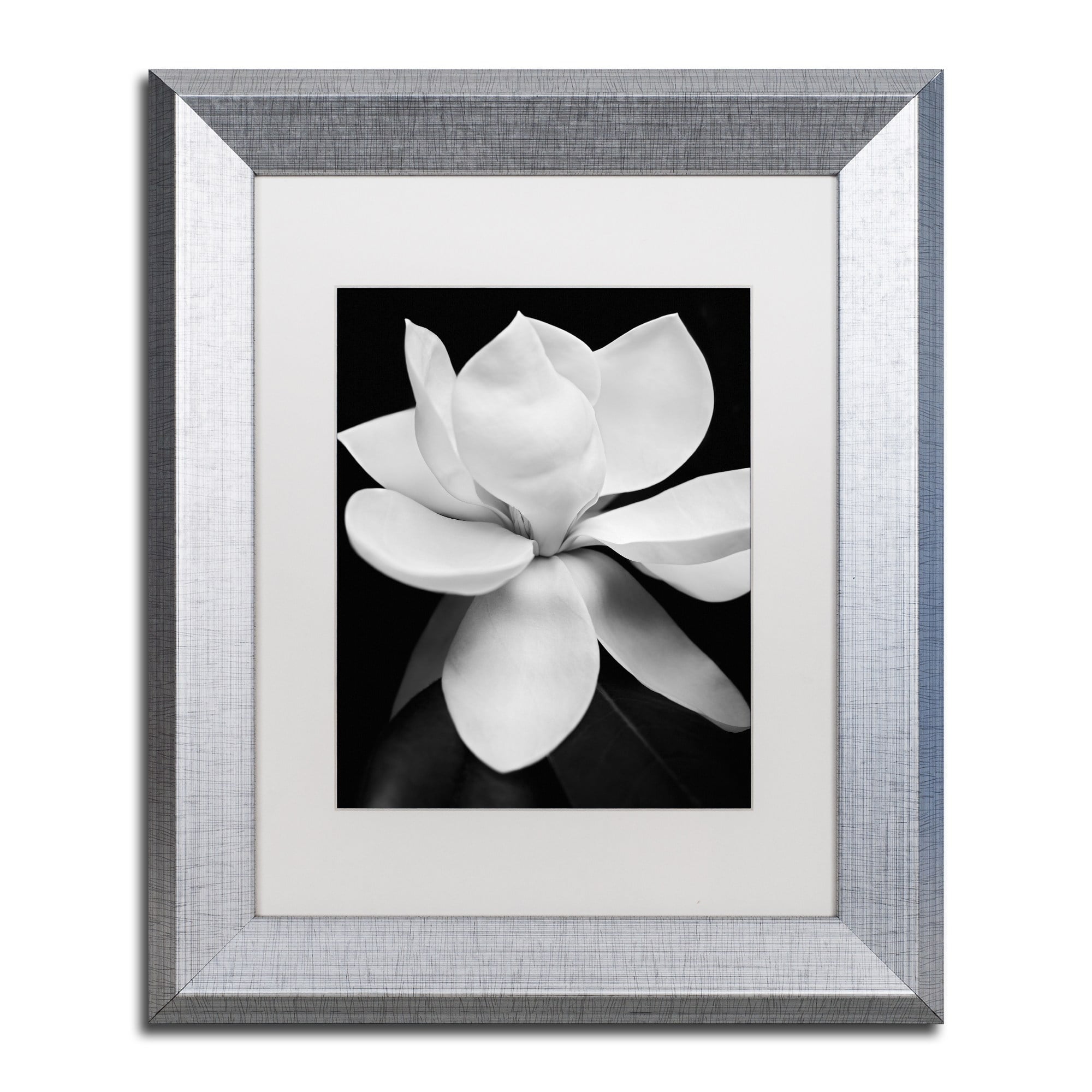 Michael Harrison 'Magnolia' Matted Framed Art