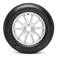 thumbnail image 3 of Radar Radar Rivera Pro 2 205/60R16XL 96V BSW tire, 3 of 5