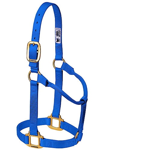 Blue/Lime Weaver Leather Poly Rope Sheep Halter with Snap Sports
