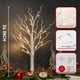 thumbnail image 4 of Decoraciones para árboles de Navidad en forma de abedul blanco con luz LED de 2 pies, 4 of 9