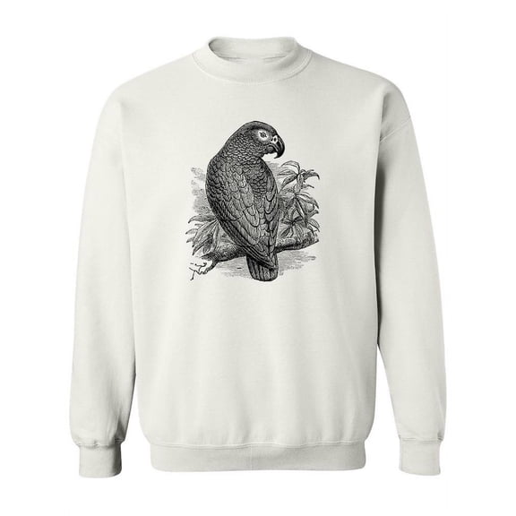 African Grey Parrot Sketch  Sweatshirt Women -Image by Shutterstock, Female 4X-Large