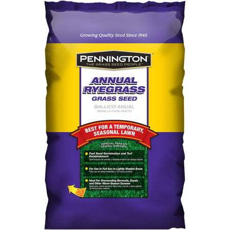 Pennington Grass Seed Annual Ryegrass, 20 lbs (Best Rated Grass Seed)
