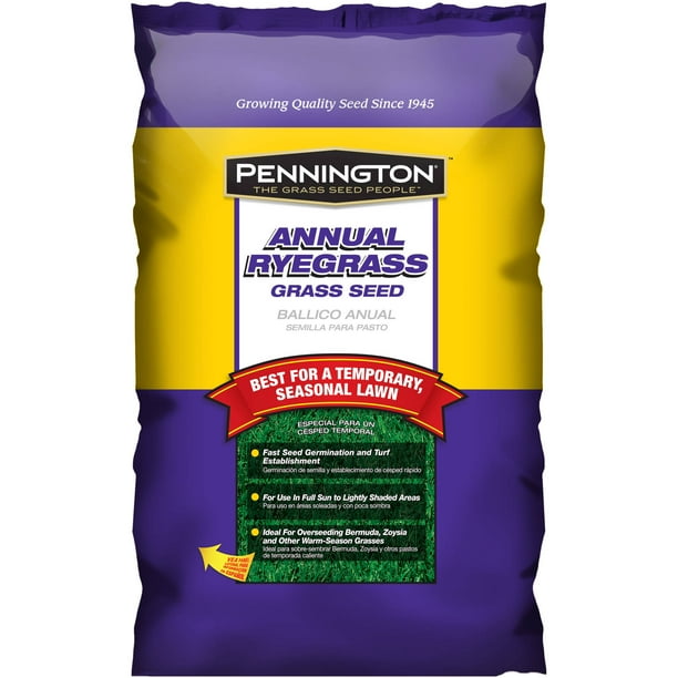 Pennington Grass Seed Annual Ryegrass, 20 lbs