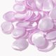 thumbnail image 1 of Nvzi 200 piezas de pétalos de rosa de seda, pétalos de flores artificiales para bodas, pétalos, B17, 1 of 5