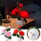 thumbnail image 1 of Lámpara de rosa Lámpara de mesa LED Luz nocturna luminosa de flor artificial de rosa • Decoración romántica del dormitorio Acento • Iluminación ambiental acogedora Regalo para la esposa, 1 of 7