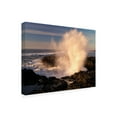thumbnail image 2 of Dennis Frates 'Rocky Coast 26' Canvas Art, 2 of 3