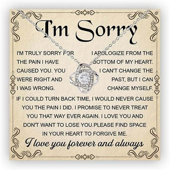 Christmas Gift for Girlfriend with Message Card and Gift Box, I'm Sorry For Hurting You Neckace, Forgive Me Gifts For Wife from Husband, Apology Necklace For Her Women