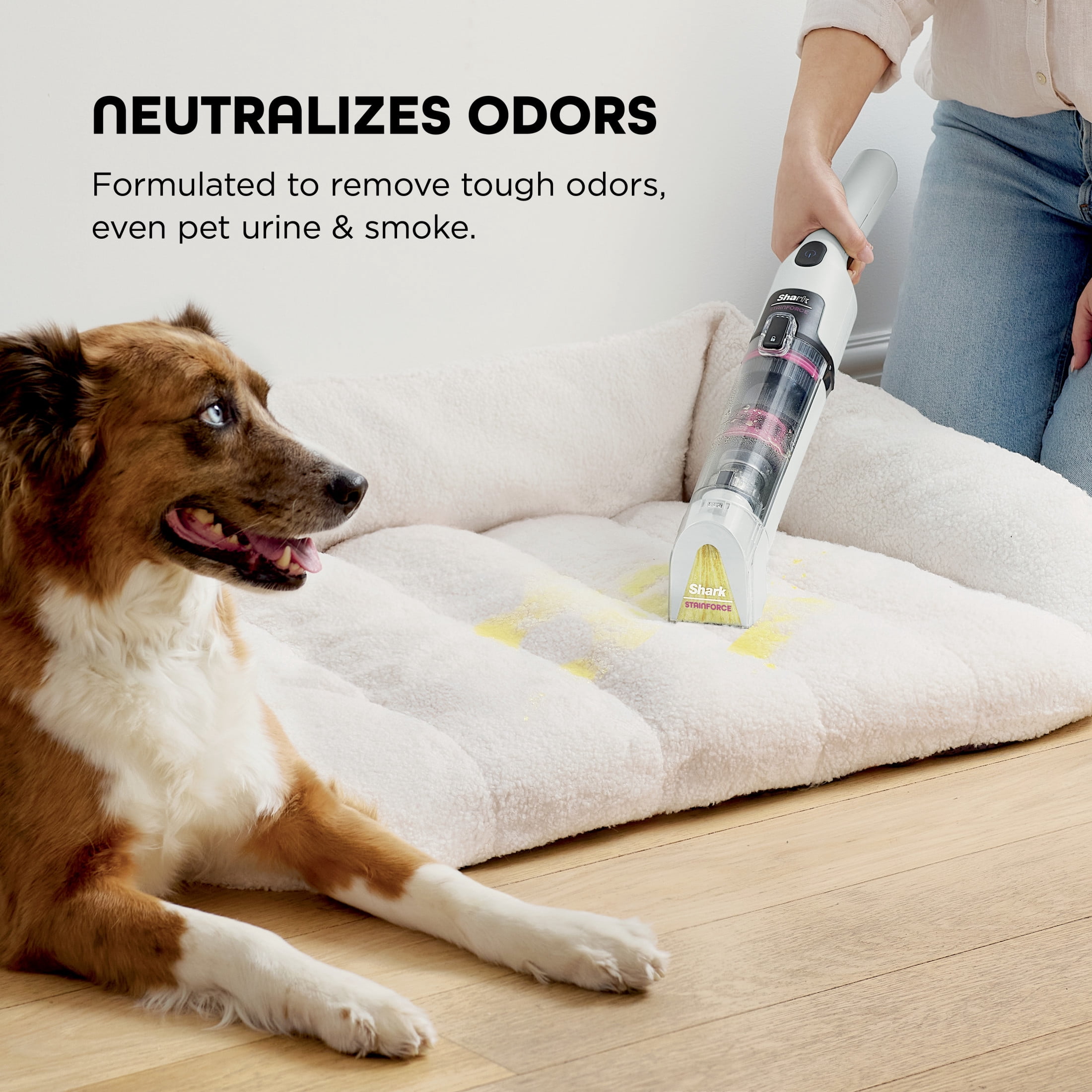 Shark StainForce Stain & Odor Remover Refill Cartridge with Reusable Spray Head, Pet-Safe Dual-Formula Cleaner, 16.9 fl oz, HXCM500S