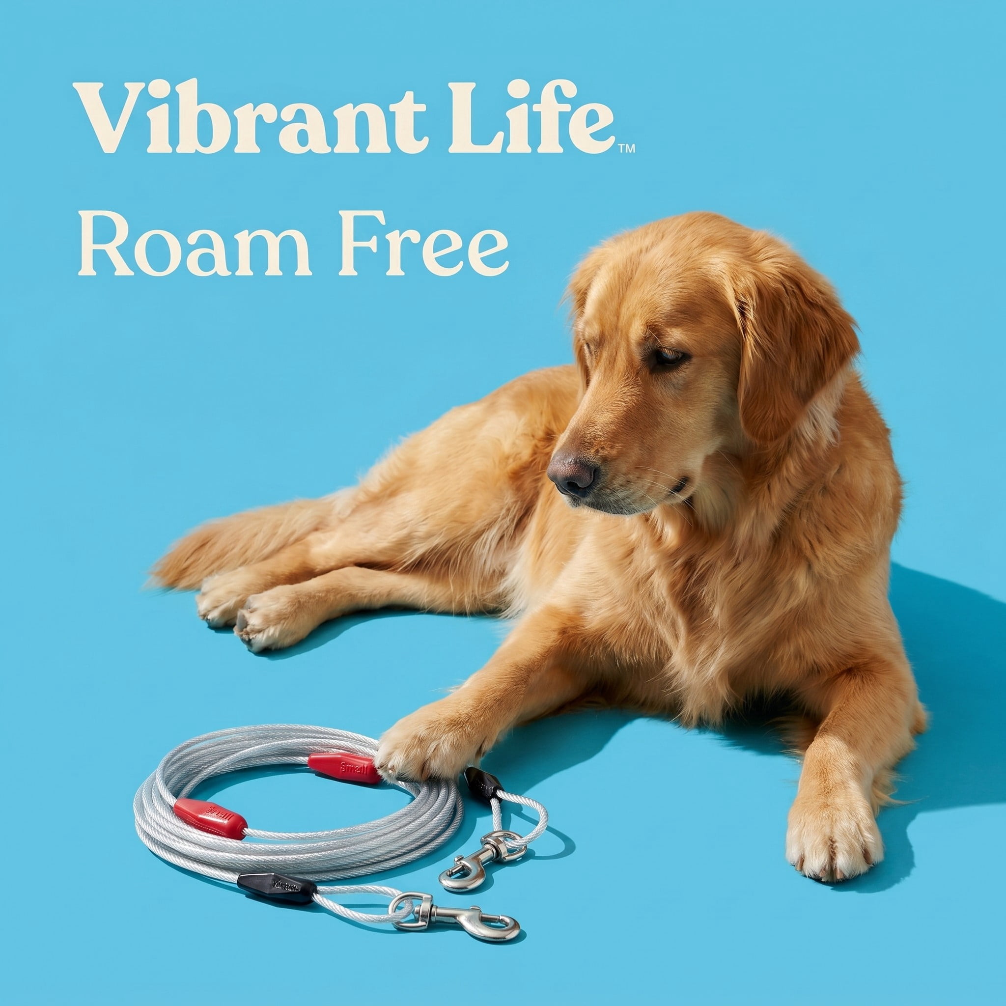 Vibrant Life Reflective Vinyl-Covered Tie-Out Cable for Dogs, S, 40'